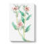 Pink Evening Primrose Flowers - Wrapped Canvas-55324765