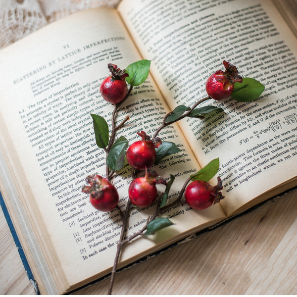 Pomegranate Berry Stems