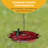 Birds Choice 12 oz. Hummerfest Feeder, Red