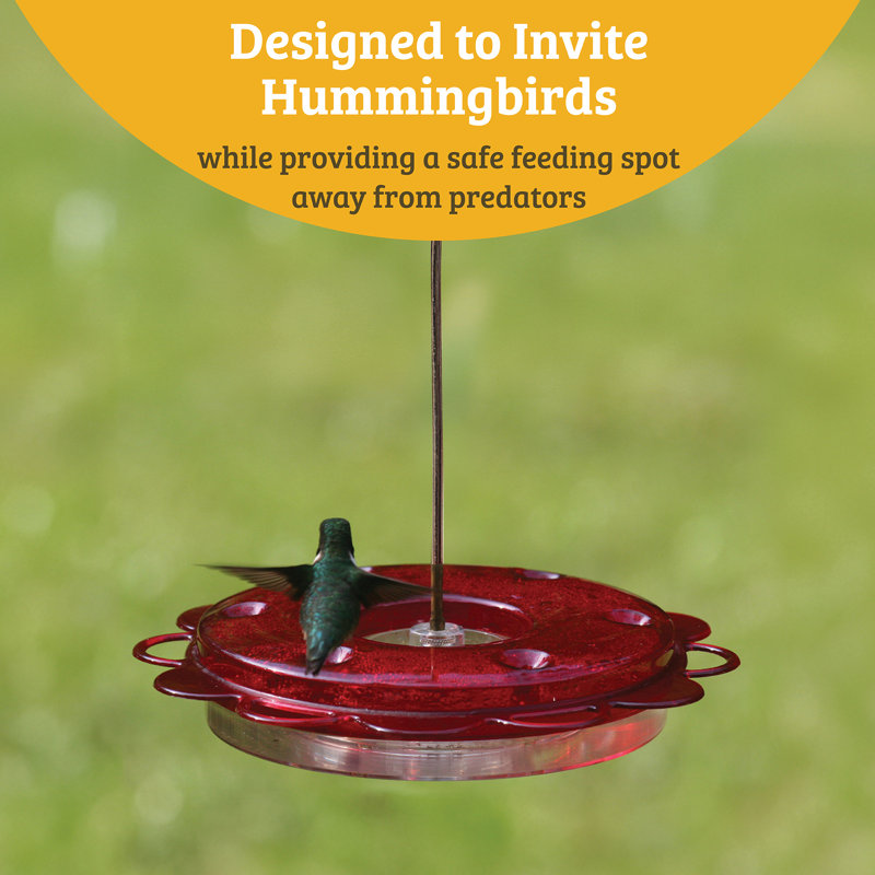 Clear and Red Hanging Polycarbonate Hummingbird Feeder with Brass Rod