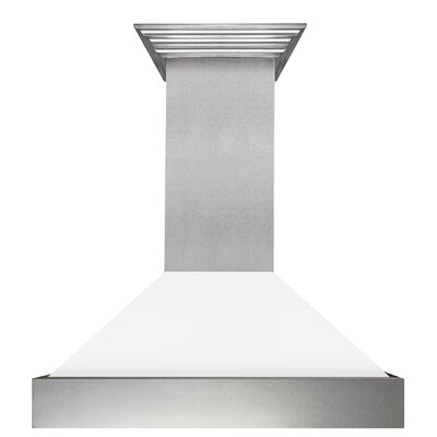 30"" Fingerprint Resistant Stainless Steel Range Hood with Fingerprint Resistant Shell (8654SN-30) -  ZLINE, 8654WM-30