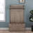 Multifunctional Coat Rack-1607844979