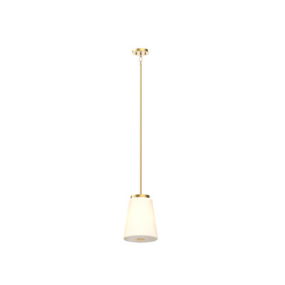 Luminaire suspendu 1 lumière Parid