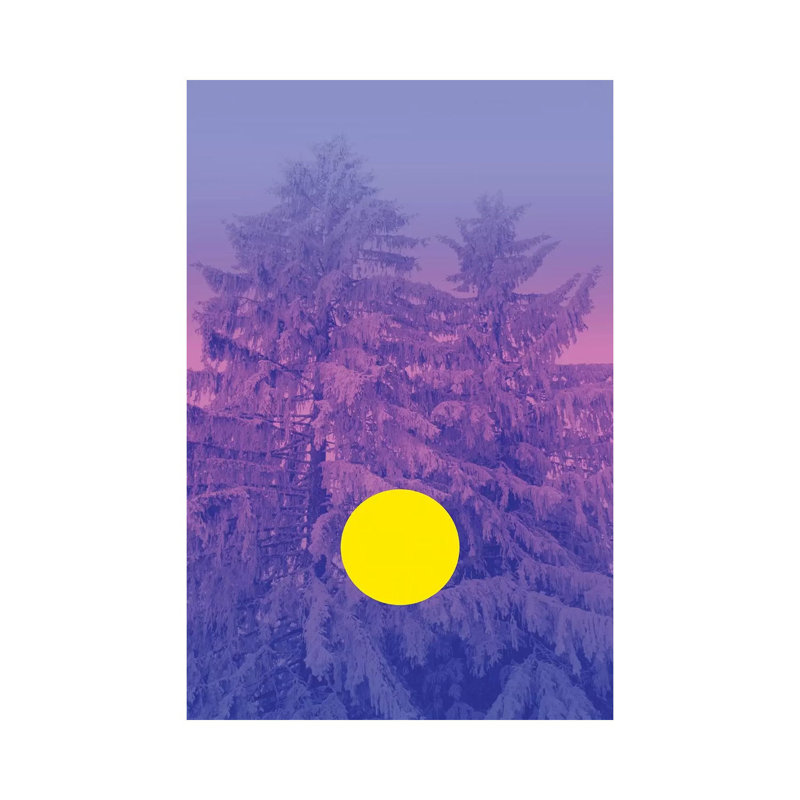 Winter's Delight With Fir Trees by Beli - Wrapped Canvas Print, 30.48 cm H x 45.72 cm W