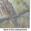 Planche à découper en verre Long-Eared Owl
