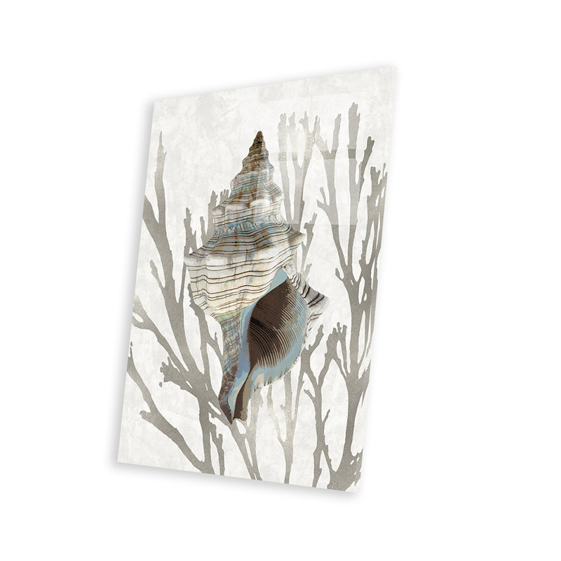Coquillage corail argenté III, impression sur verre acrylique, H 24 po x l 16 po x P 0,25 po