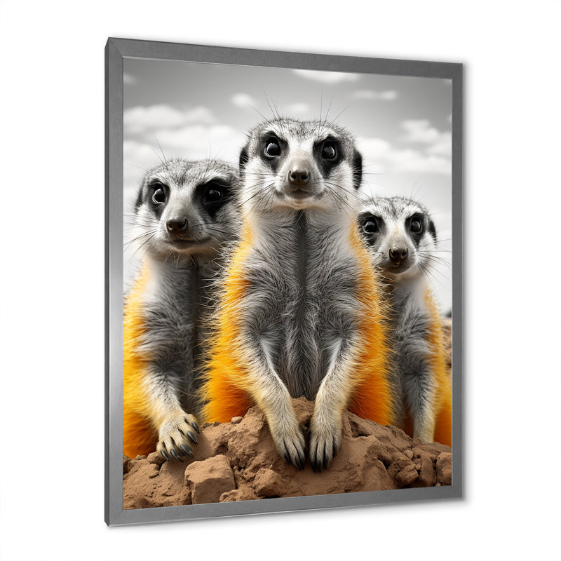 Reproduction sur toile Zikomo, Cadre photo argenté, H 32 po x l 16 po x P 1 po