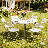 Round Foldable Plastic Table Collapsible Circular Steel Frame with Carry Handle-75185294-71837339