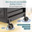 Rolling Utility Cart Storage Cart with Trays Lockable Craft Cart Salon Trolley