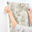 Papier peint Serenade Gray Ferns-119797049