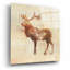«Elk Study» par Studio Mousseau, art mural en verre acrylique épique, 24 po x 24 po-357393575