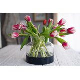 3-in-1 Glass Bloom Vase
