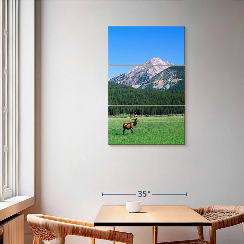 Brampt Coyote Valley Elk, 57" H x 36" W