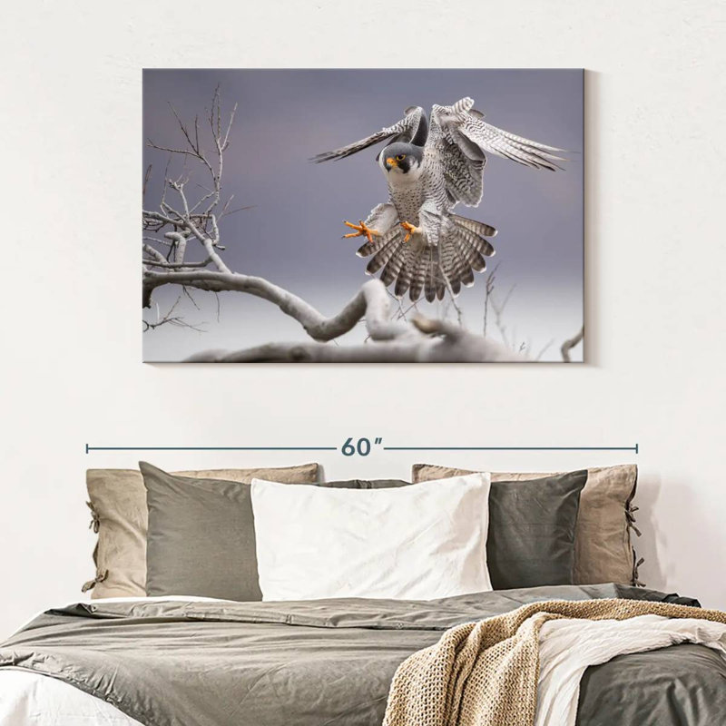Peregrine Falcon, 32" H x 48" W