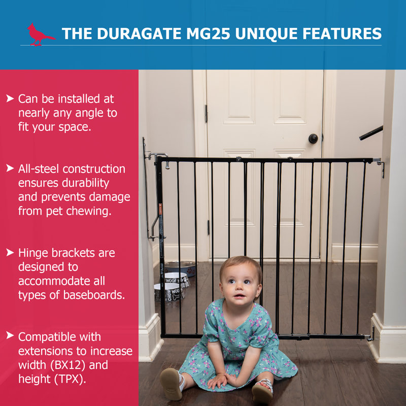 Adjustable Black Metal Swinging Safety Gate