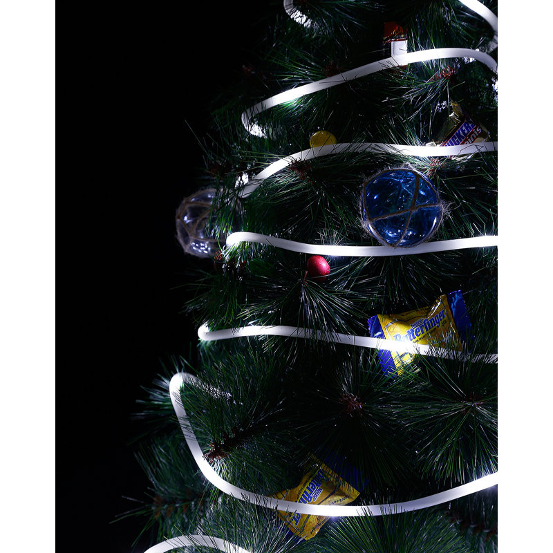 Led Rope Light With Remote Control
