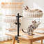 Indoor Cat Desk Hammock Bed with 2 Removable Beds and 2 Hanging Balls