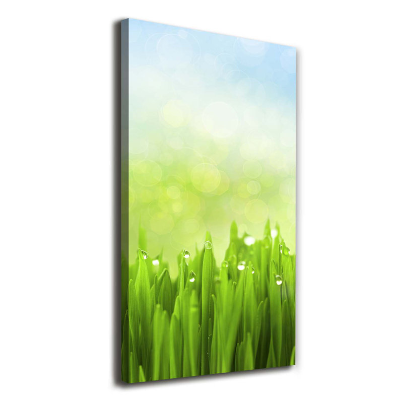 Grass - Wrapped Canvas Print