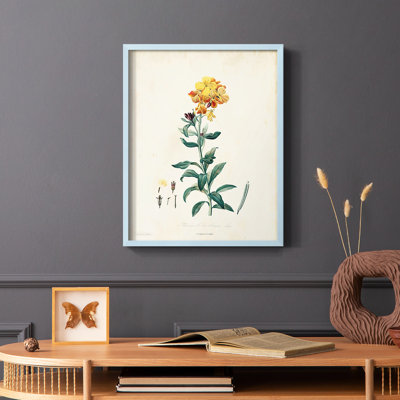 «Traditional Botanical III», reproduction encadrée - bois massif