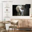 Mouton Brampt-108010941