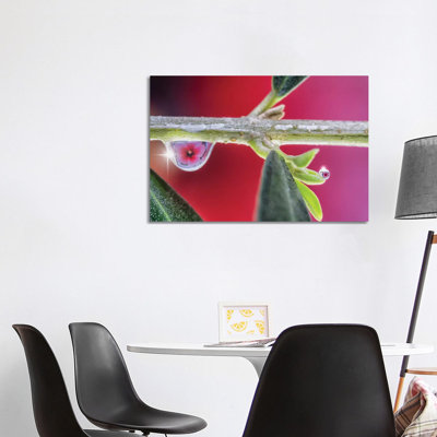 Macro of a Flower 1 Piece Wrapped Canvas Wall Art