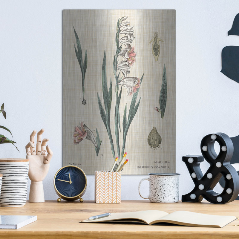 «Gladiola charte lin» par Sue Schlabach, art mural en métal, H 16 po x l 12 po