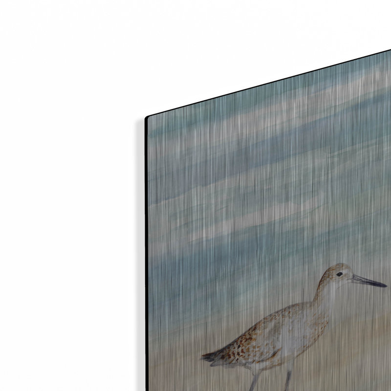 «Speckled Willet I» par Victoria Borges, art mural en métal, H 12 po x l 12 po