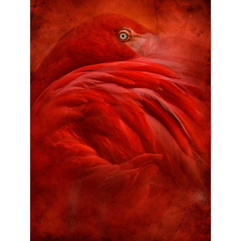 Wrapped Canvas Print, 50.8 cm H x 76.2 cm W