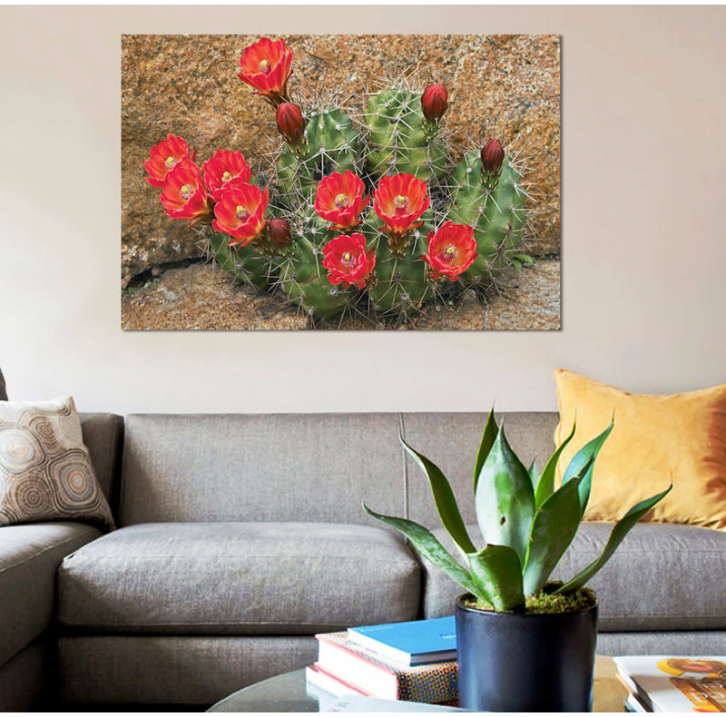 « claret cup cup fleuring », impression sur toile, H 12 po x l 18 po x P 1,5 po