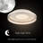 Florence Modern Led Flush Mount Ceiling Light With Remote Control