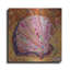 Ivy Bronx «Sunny Scallop» par St. Hilaire Elizabeth, art mural en métal-48973907