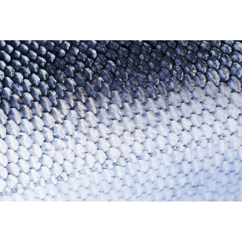 Fish Scale by Temmuzcan, 8" H x 12" W