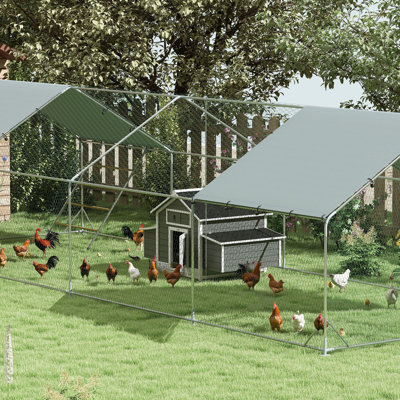 Chicken Cage