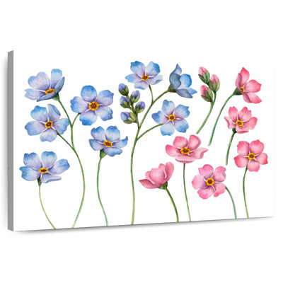 Harnek Forget-Me-Not Flowers