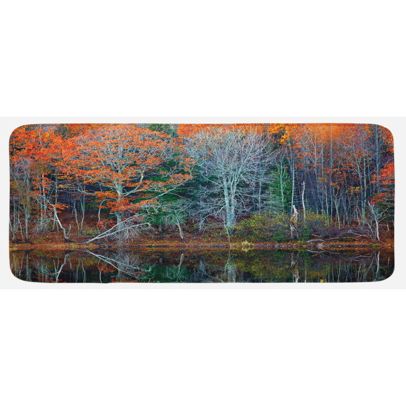 Tapis de cuisine laisse