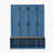 Blue is out of stock selected