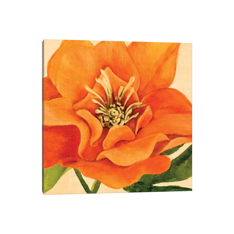 Copper Petals II by Annie Warren - Wrapped Canvas Print, 30.48 cm H x 30.48 cm W
