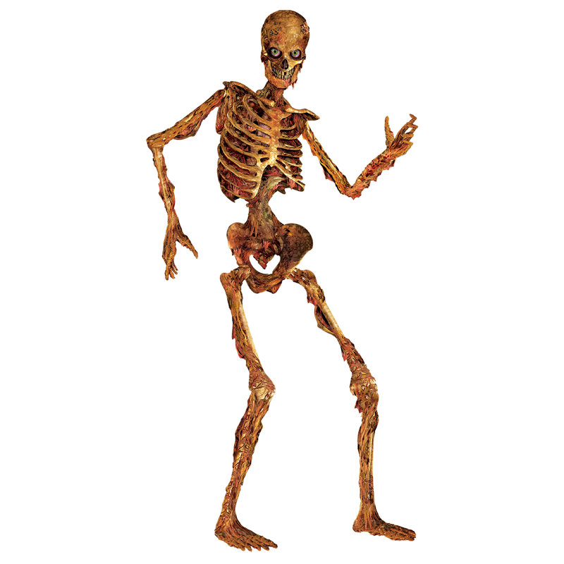 Squelette articulé Halloween