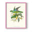 «Lime & Cerulean Parrots II», reproduction encadrée - bois massif-934413502-934413510