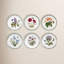 Assiette de jardin Portmeirion