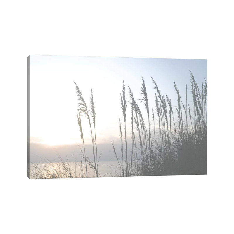 Morning Whisper II by Sharon Chandler - Wrapped Canvas Print, 20.32 cm H x 30.48 cm W