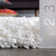 Gwenyth Solid Shag Area Rug