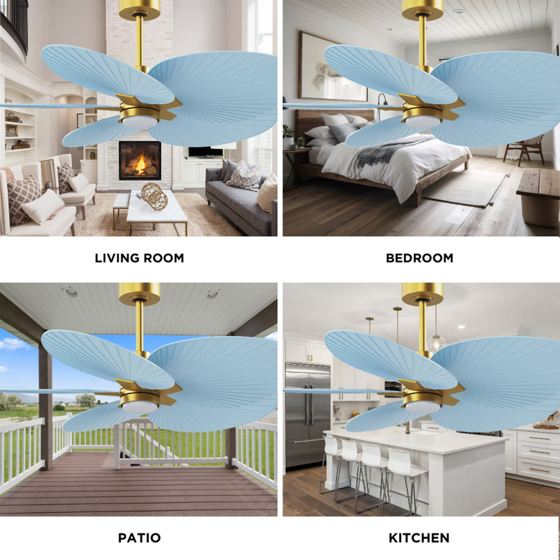 Alessandra Tropical - Five Blade Ceiling Fan - Integrated LED -Matte Black Finish -Light Blue Blades, Brushed Brass