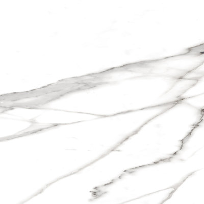 Roma Matte Porcelain Statuario Look Tile