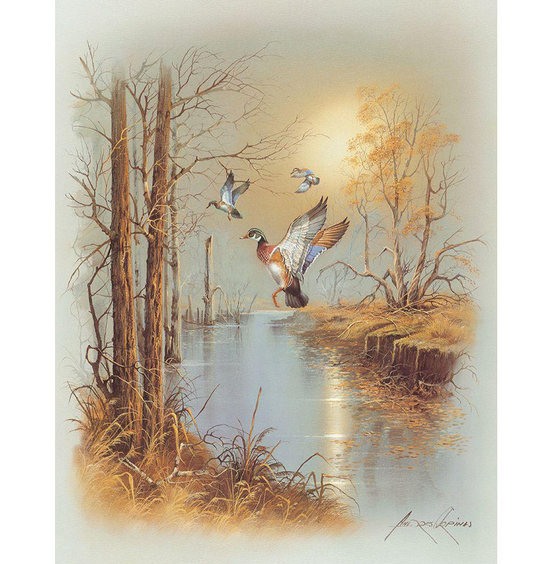 Toile tendue avec châssis Lark Manor ™ Orpinas, Andres, titre: Ducks B, H 45 po x l 36 po