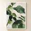 «Tropical Study II» par Julia Purinton - Impression sur toile-471097298-471097310