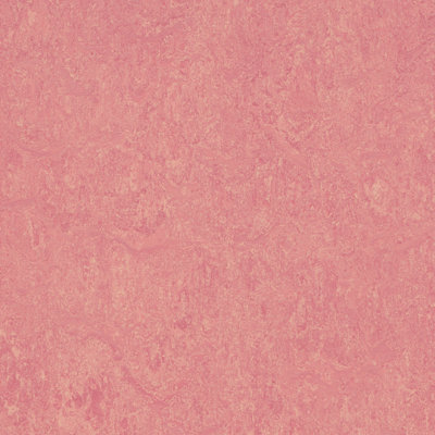 SAMPLE – Marmoleum Cinch Loc Seal Laminate Flooring
