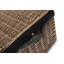 Wicker Rope Handled Trunk with Lining-143960207