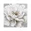 Tapis doux non tissé à motif floral exotique pour la décoration intérieure moderne-114321024