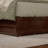 Lamareon Solid Wood Platform Bed with Footboard & Roll Out Trundle Bed-245492665-226224417